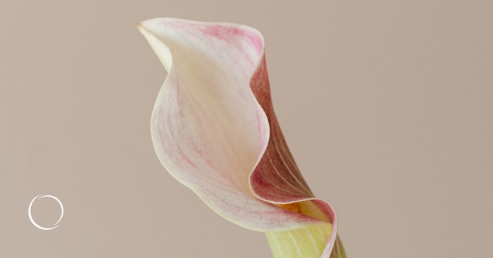 what you need to know about ozempic vulva